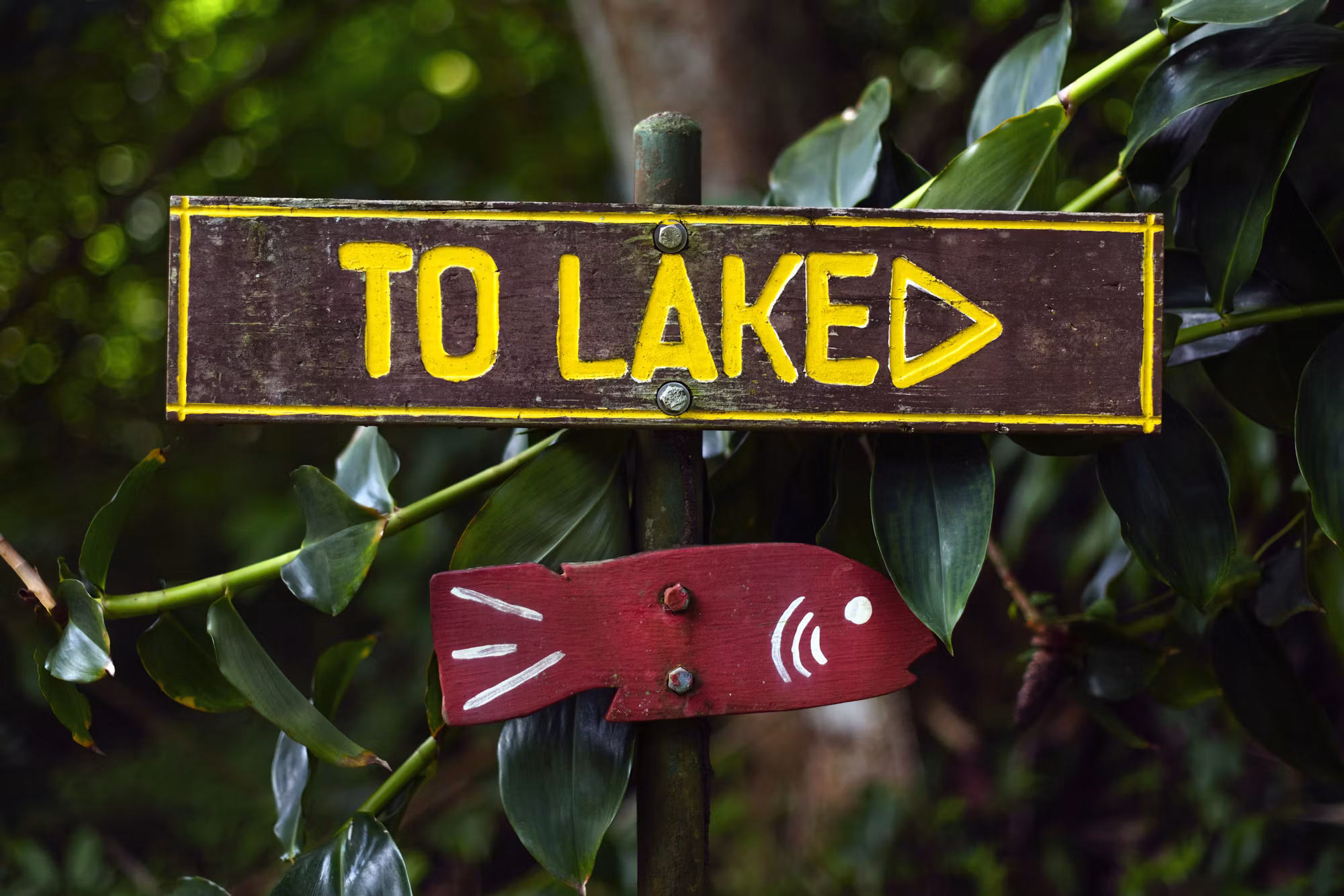 Exploring the Depths: A Comprehensive Guide to Fishing Techniques